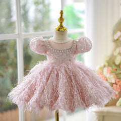 Toddler Girl Princess Fashion Dress